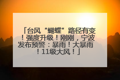 台风“蝴蝶”路径有变！强度升级！刚刚，宁波发布预警：暴雨！大暴雨！11级大风！