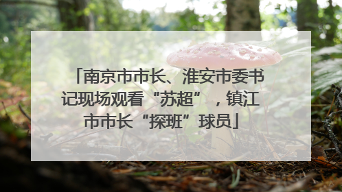 南京市市长、淮安市委书记现场观看“苏超”，镇江市市长“探班”球员