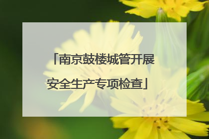 南京鼓楼城管开展安全生产专项检查