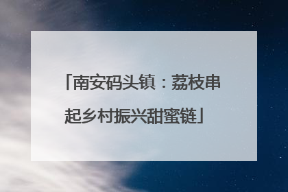 南安码头镇：荔枝串起乡村振兴甜蜜链