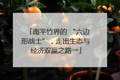 南平竹界的 “六边形战士”，走出生态与经济双赢之路→