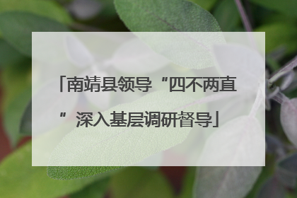 南靖县领导“四不两直”深入基层调研督导