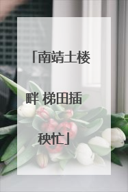 南靖土楼畔 梯田插秧忙