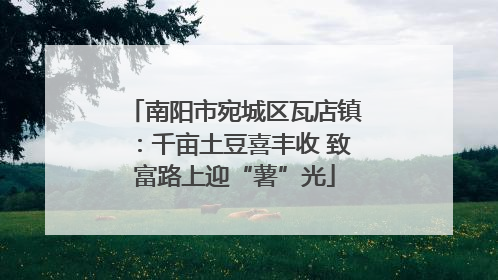 南阳市宛城区瓦店镇：千亩土豆喜丰收 致富路上迎“薯”光