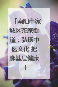 南阳市宛城区茶庵街道：弘扬中医文化 把脉基层健康