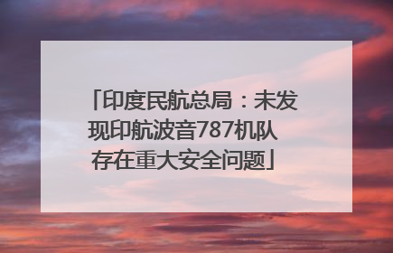 印度民航总局：未发现印航波音787机队存在重大安全问题