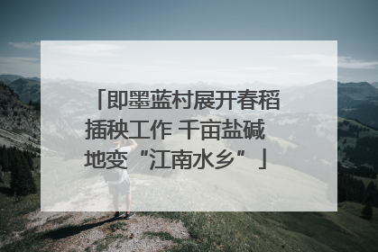 即墨蓝村展开春稻插秧工作 千亩盐碱地变“江南水乡”