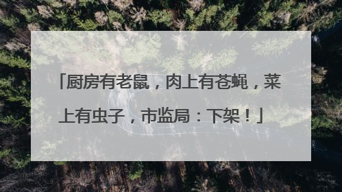 厨房有老鼠，肉上有苍蝇，菜上有虫子，市监局：下架！