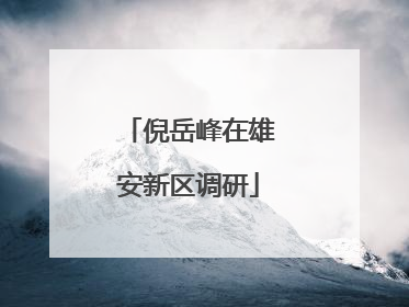 倪岳峰在雄安新区调研