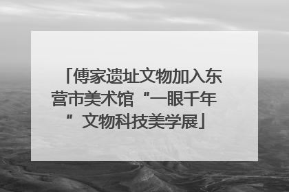傅家遗址文物加入东营市美术馆“一眼千年”文物科技美学展