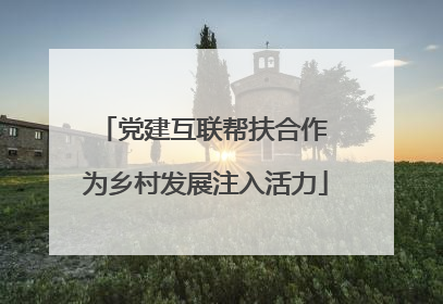 党建互联帮扶合作 为乡村发展注入活力