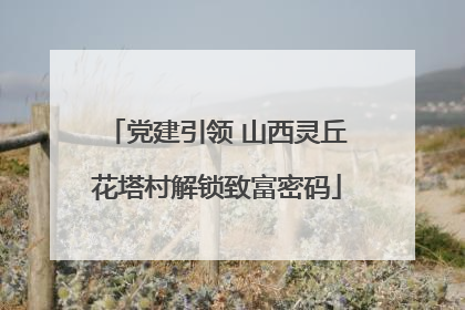 党建引领 山西灵丘花塔村解锁致富密码