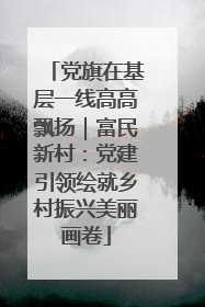 党旗在基层一线高高飘扬｜富民新村：党建引领绘就乡村振兴美丽画卷