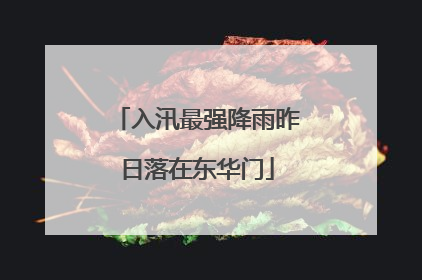 入汛最强降雨昨日落在东华门
