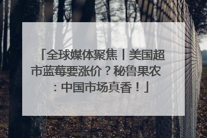 全球媒体聚焦丨美国超市蓝莓要涨价？秘鲁果农：中国市场真香！