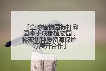 全球植物园标杆邱园牵手成都植物园，将聚焦种质资源保护等展开合作