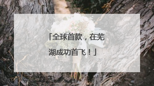 全球首款，在芜湖成功首飞！