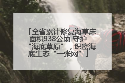 全省累计修复海草床面积938公顷 守护“海底草原”，织密海底生态“一张网”