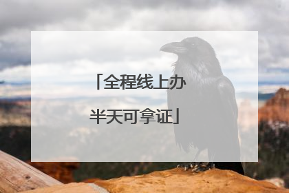 全程线上办 半天可拿证