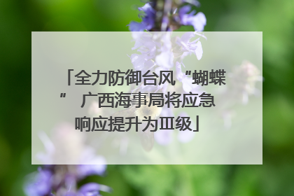 全力防御台风“蝴蝶” 广西海事局将应急响应提升为Ⅲ级