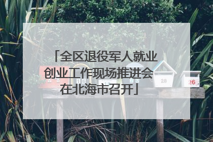 全区退役军人就业创业工作现场推进会在北海市召开