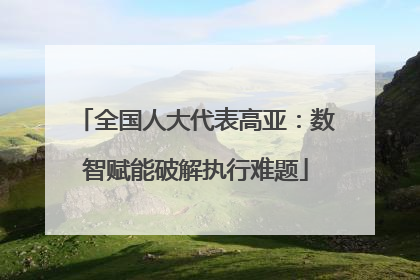 全国人大代表高亚：数智赋能破解执行难题