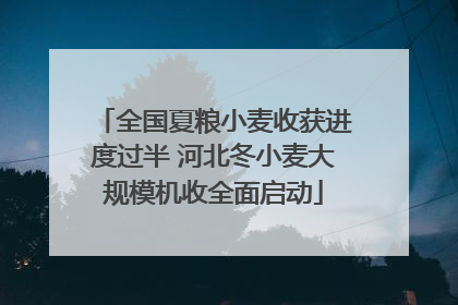 全国夏粮小麦收获进度过半 河北冬小麦大规模机收全面启动