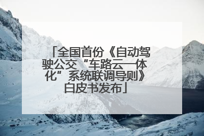 全国首份《自动驾驶公交“车路云一体化”系统联调导则》白皮书发布