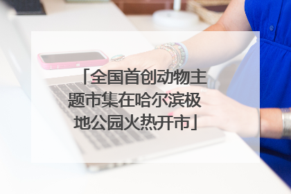 全国首创动物主题市集在哈尔滨极地公园火热开市