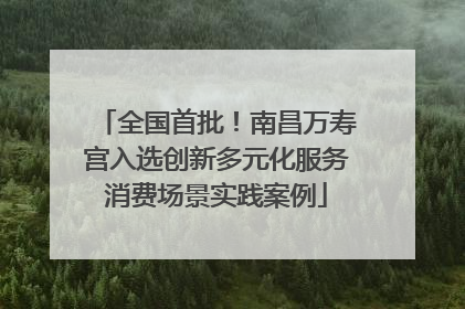 全国首批！南昌万寿宫入选创新多元化服务消费场景实践案例