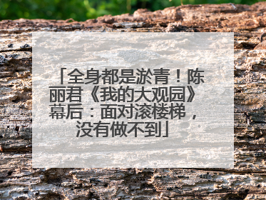 全身都是淤青！陈丽君《我的大观园》幕后：面对滚楼梯，没有做不到