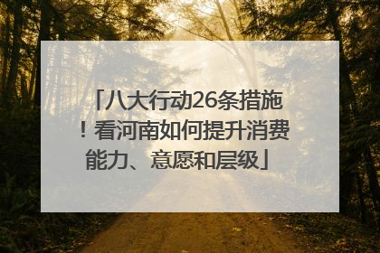 八大行动26条措施！看河南如何提升消费能力、意愿和层级