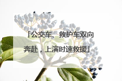 公交车、救护车双向奔赴，上演时速救援