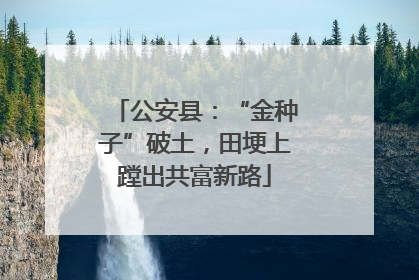 公安县：“金种子”破土，田埂上蹚出共富新路