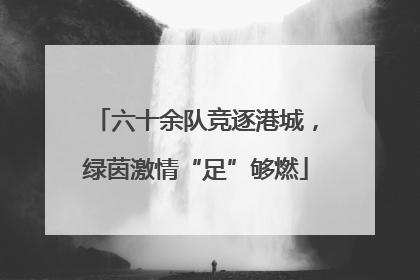 六十余队竞逐港城，绿茵激情“足”够燃