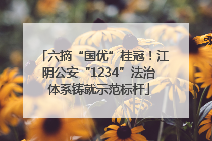 六摘“国优”桂冠！江阴公安“1234”法治体系铸就示范标杆
