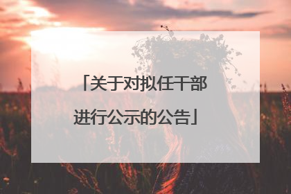 关于对拟任干部进行公示的公告