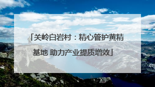 关岭白岩村：精心管护黄精基地 助力产业提质增效