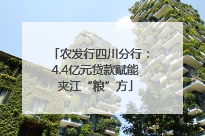 农发行四川分行：4.4亿元贷款赋能夹江“粮”方