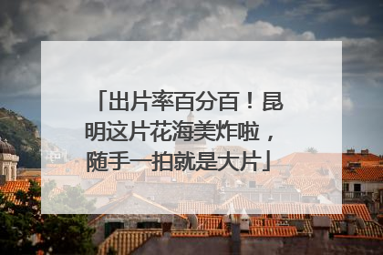 出片率百分百！昆明这片花海美炸啦，随手一拍就是大片