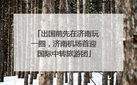 出国前先在济南玩一圈，济南机场首迎国际中转旅游团