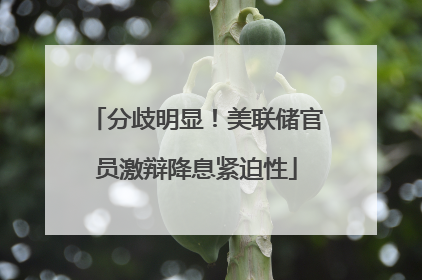 分歧明显！美联储官员激辩降息紧迫性