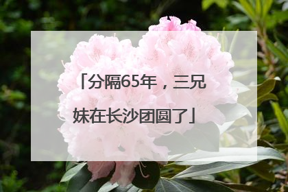 分隔65年，三兄妹在长沙团圆了