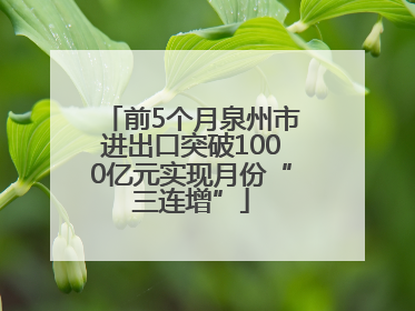 前5个月泉州市进出口突破1000亿元实现月份“三连增”
