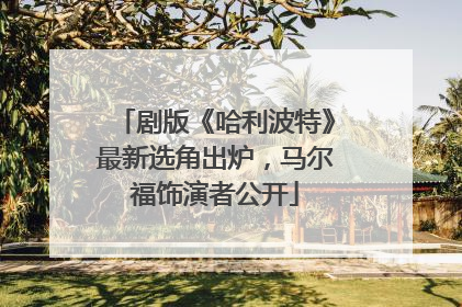 剧版《哈利波特》最新选角出炉，马尔福饰演者公开