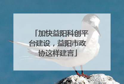 加快益阳科创平台建设，益阳市政协这样建言