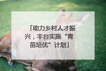 助力乡村人才振兴，丰台实施“青苗培优”计划