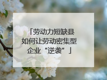 劳动力短缺县 如何让劳动密集型企业“逆袭”