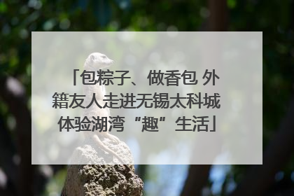 包粽子、做香包 外籍友人走进无锡太科城体验湖湾“趣”生活