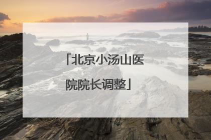 北京小汤山医院院长调整